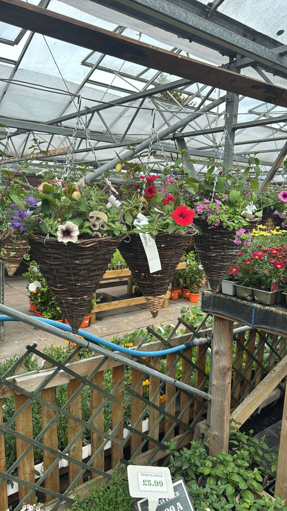 Cone hanging basket