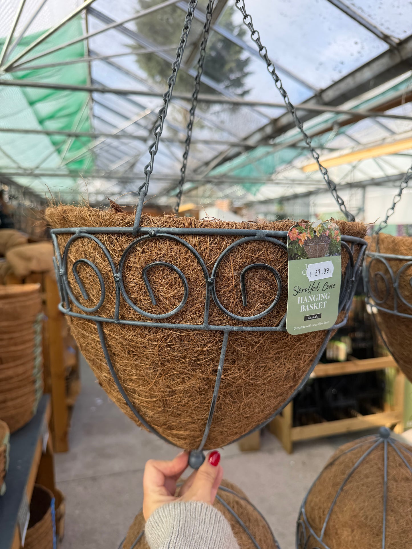 30cm Scrolled hanging Basket