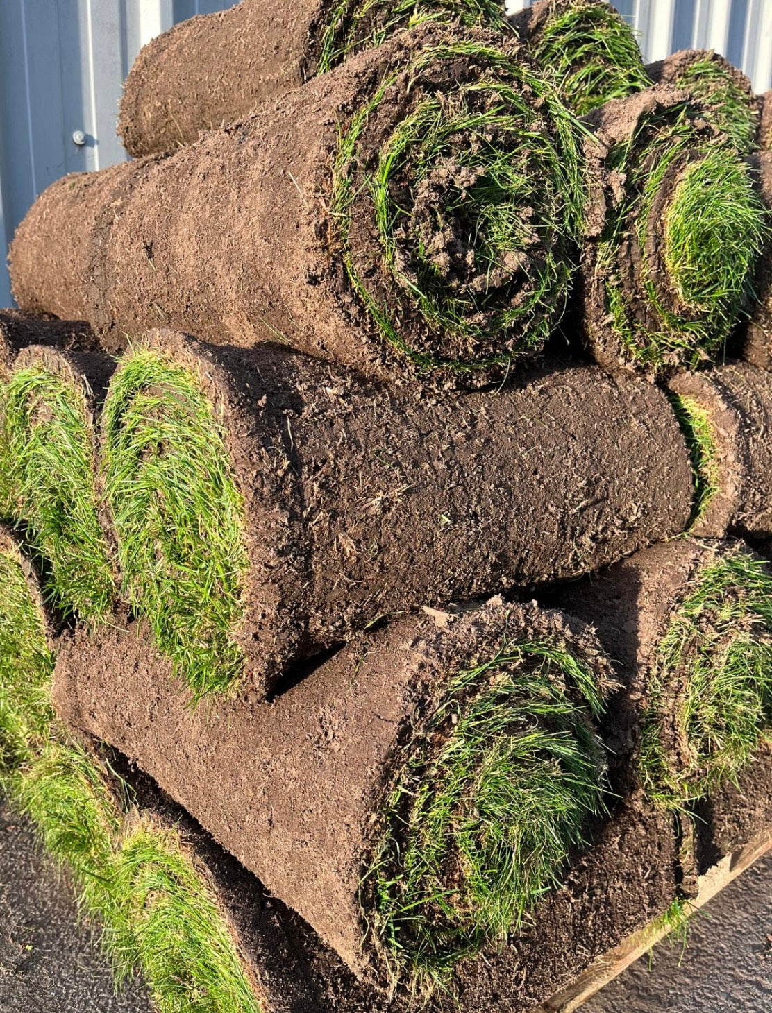 Turf Rolls. One roll equals 1m2. Minimum order now 20 rolls (Local Delivery/ Pickup only).