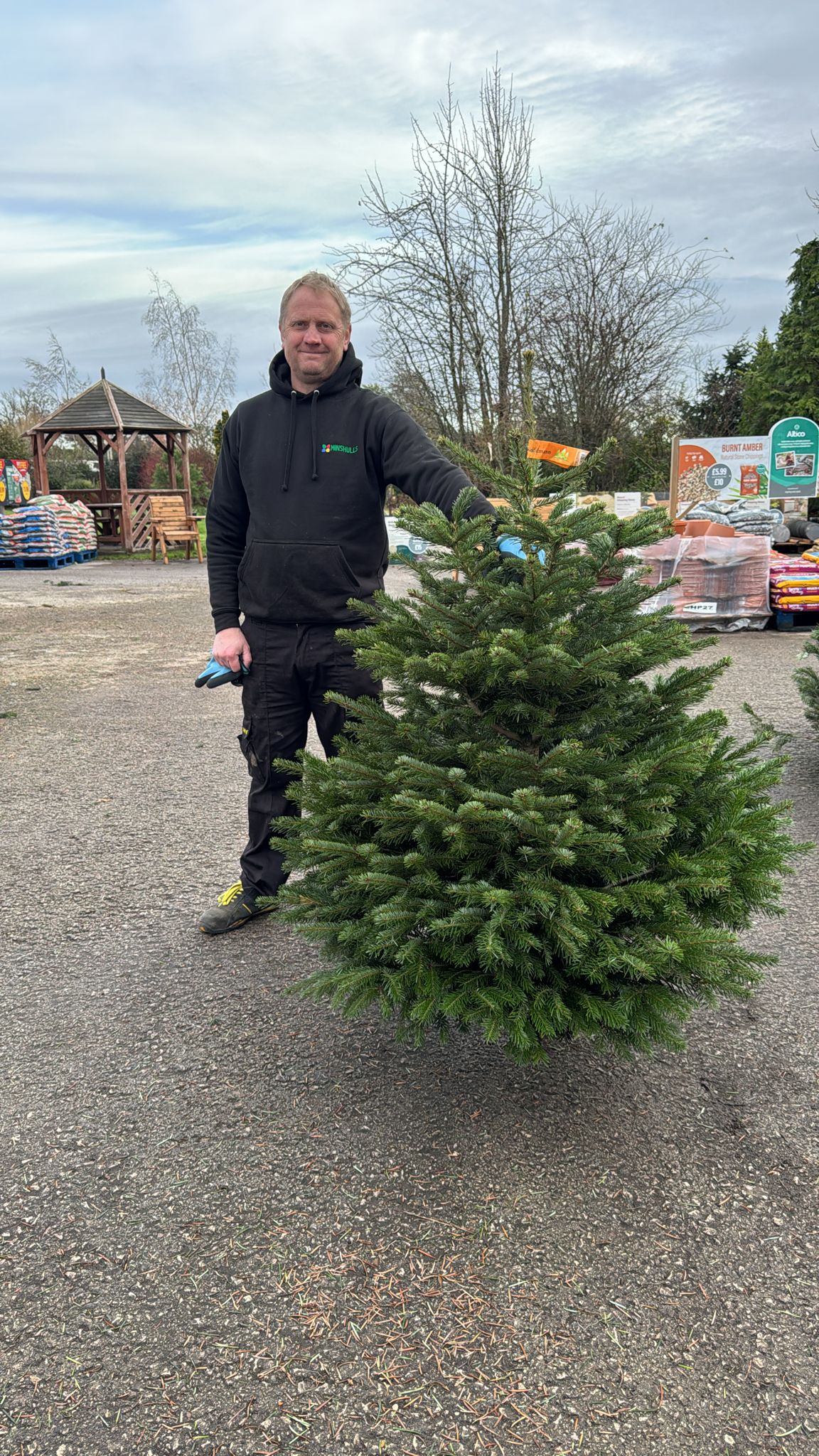 Premium Nordman 150-175cm low Drop. Orange Label.