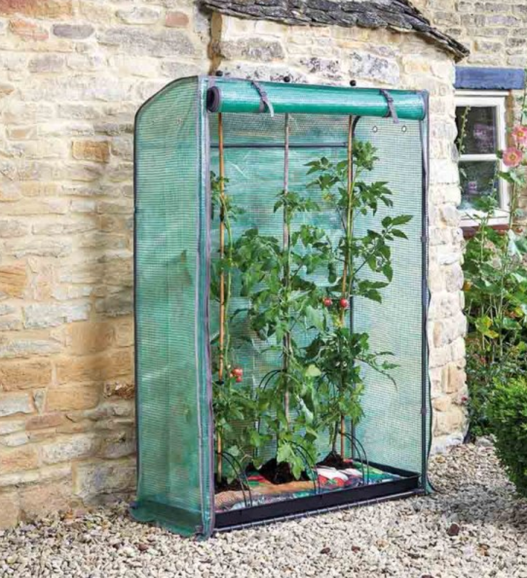 Tomato GroZone