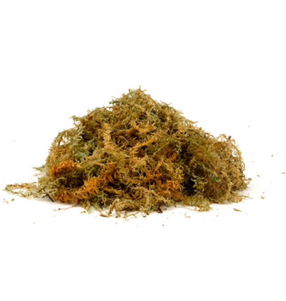 Sphagnum Moss - Jumbo