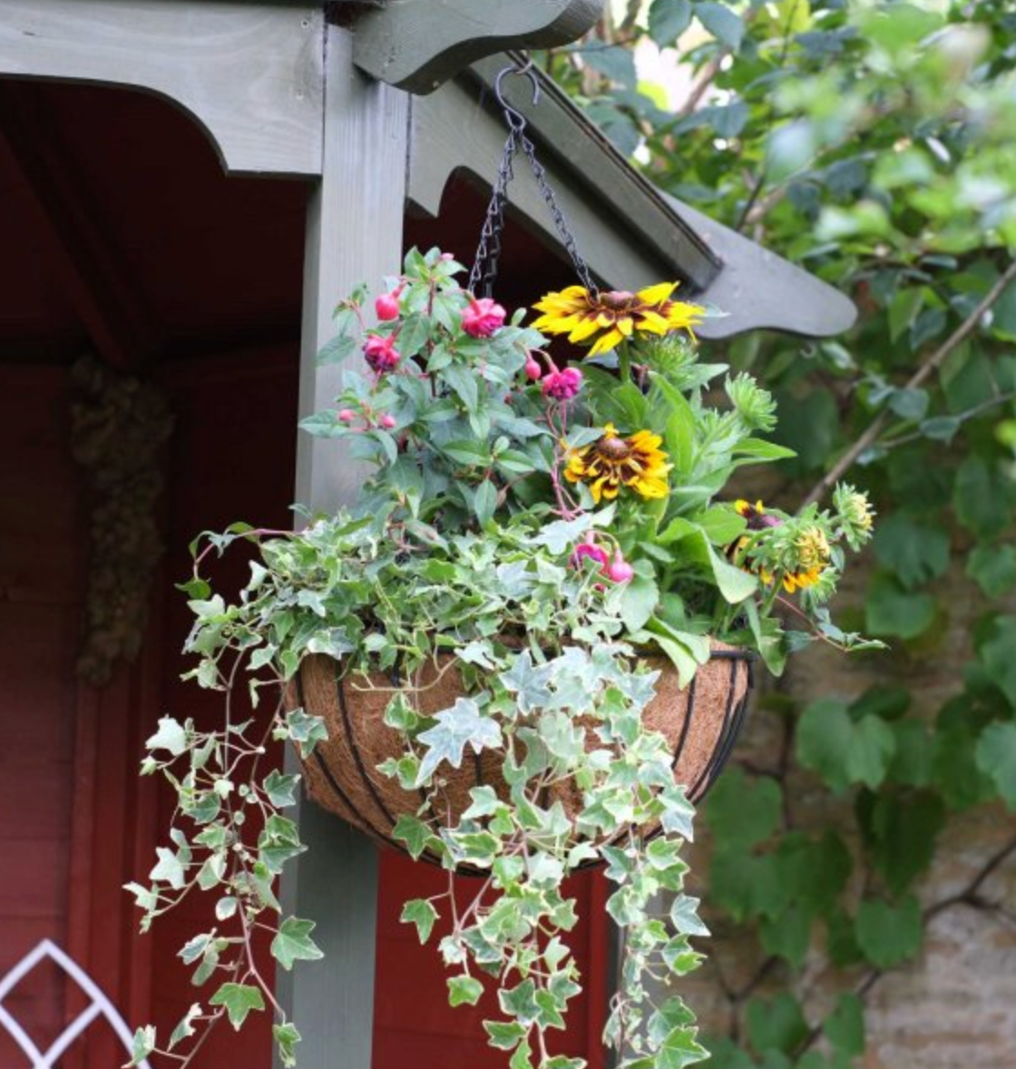 16in Smart Hanging Basket