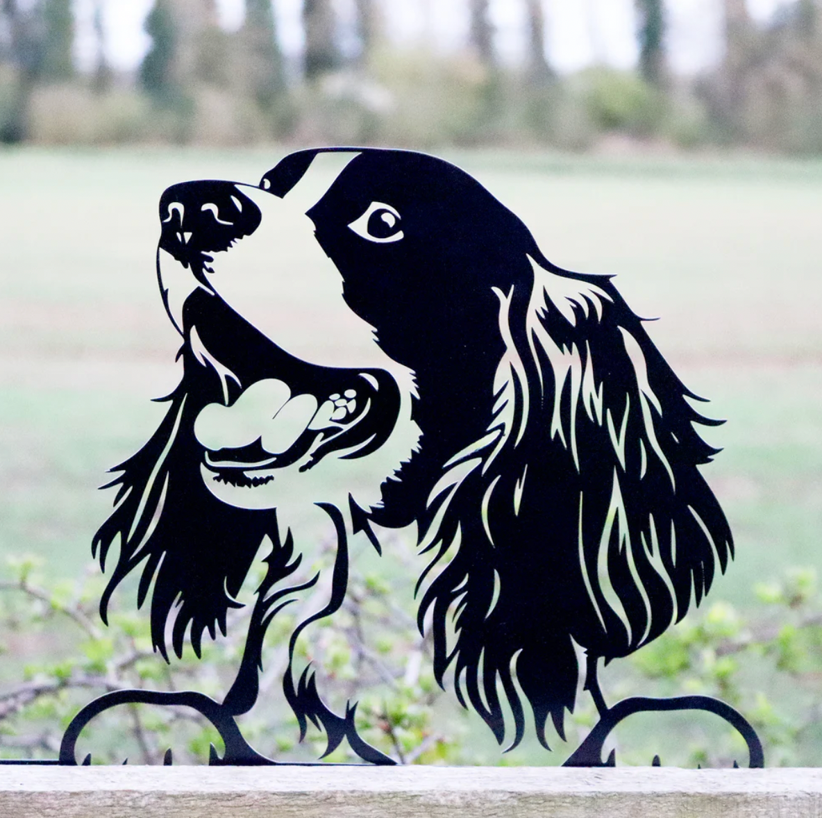 Peeking Spaniel
