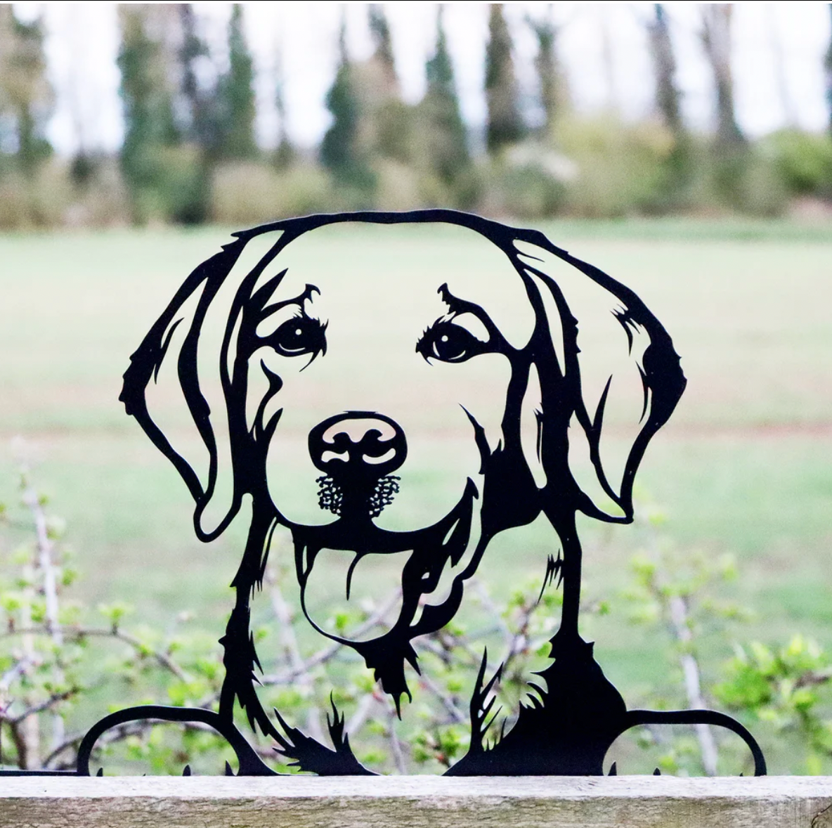 Peeking Labrador/ Retriever silhouette