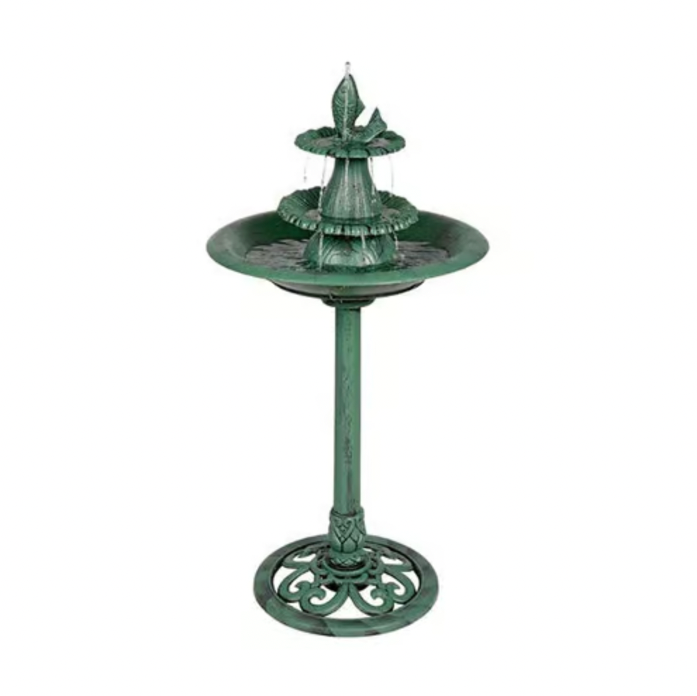 Bird Bath With Fish