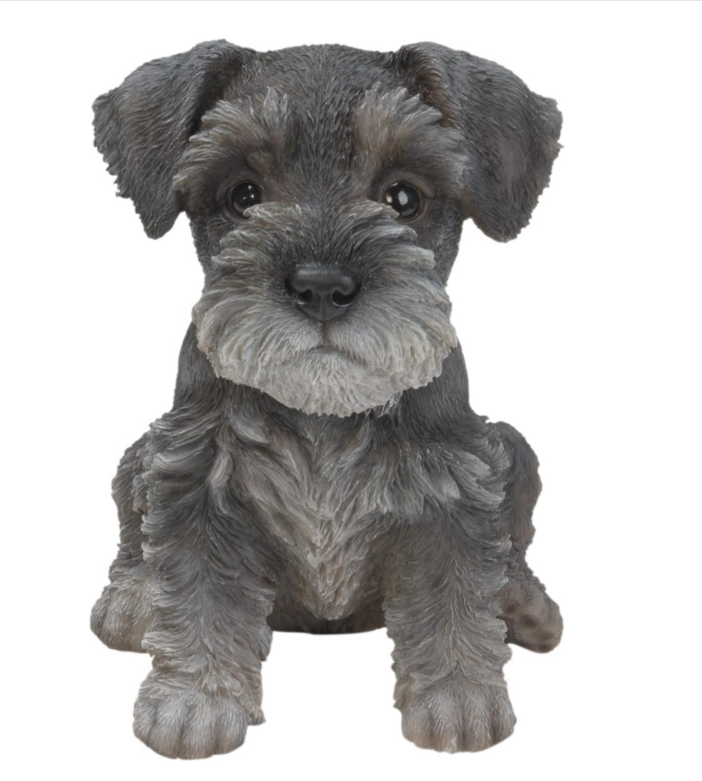 Vivid Arts Pet Pals Miniature Schnauzer Puppy