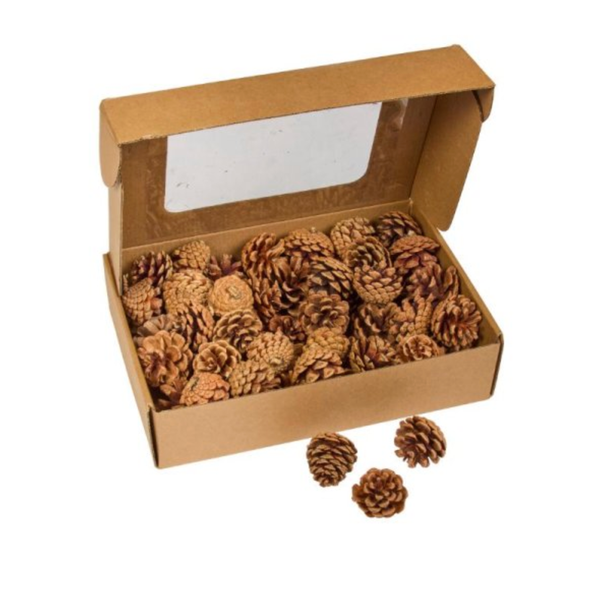 Pine Cones