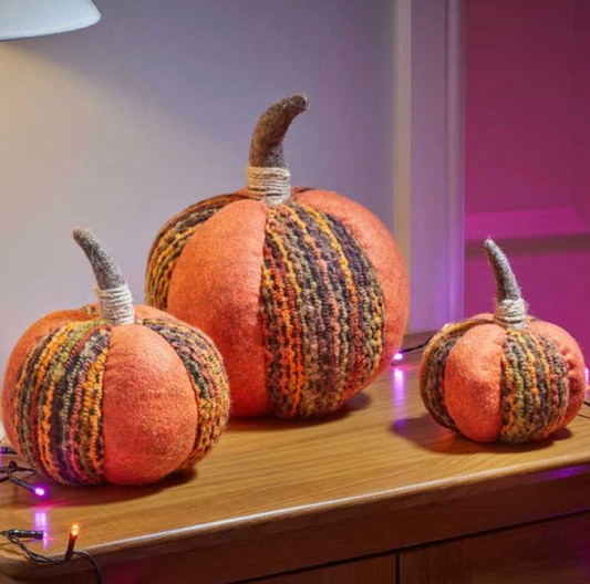 Harvest Pumpkin - XL