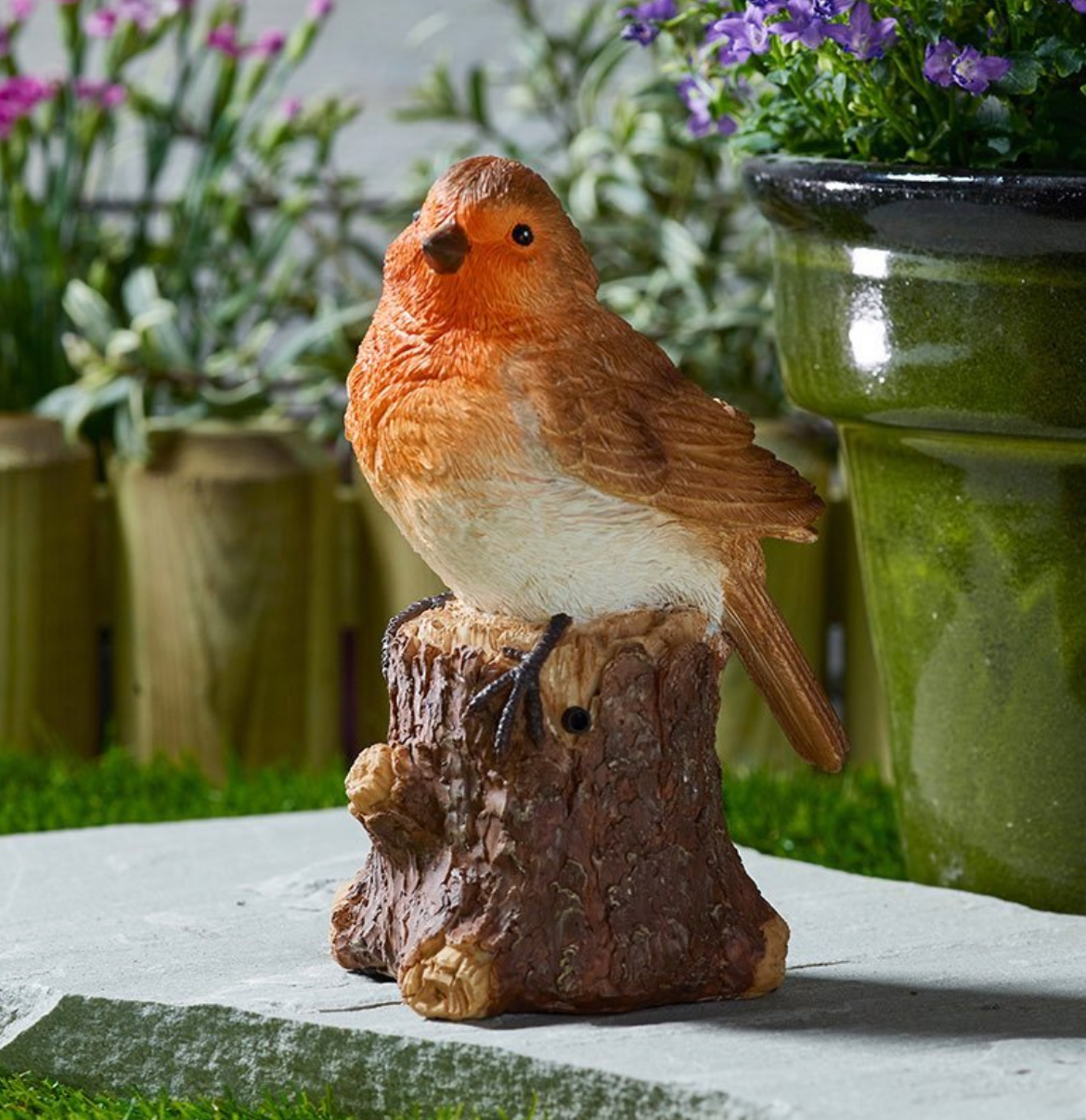 Robin Song