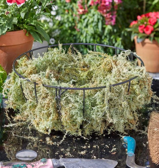 Sphagnum Moss - Jumbo