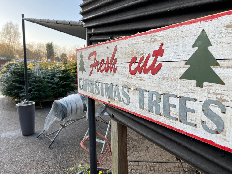 Fresh, quality christmas trees at Minshull's Garden Centre, Cheshire. Local Delivery.