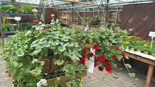 14 inch basket