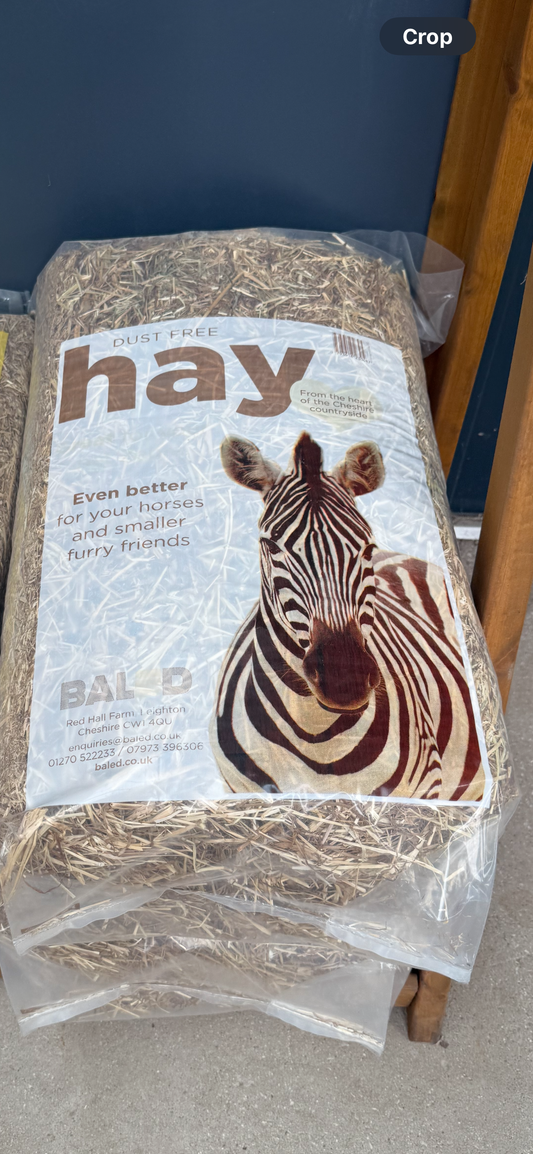 BAILED Hay