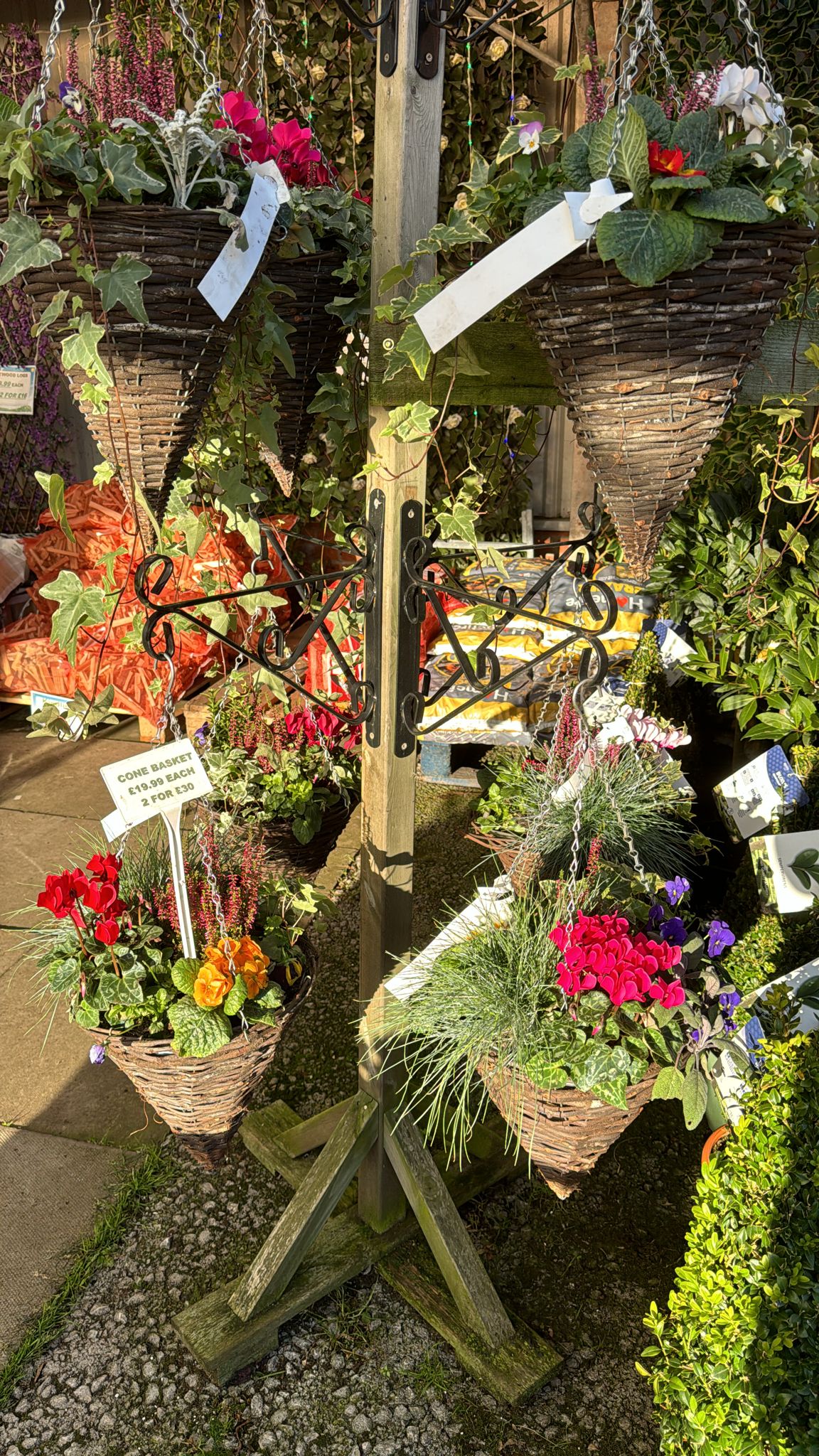 Cone Hanging Basket