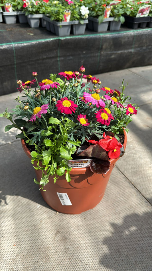 Patio Summer Pot
