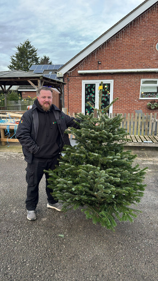 Value Nordman 150-175cm Low Drop Yellow Label