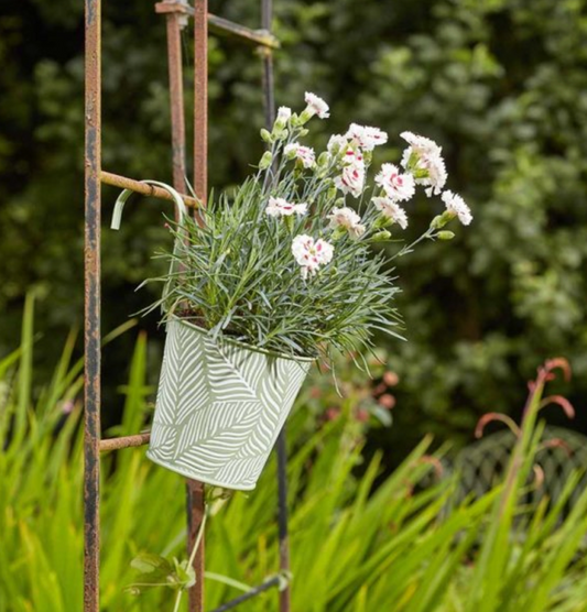 6in Fence & Balcony Hanging Pot - Fern - Sage