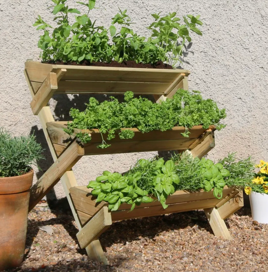 Stepped Herb Planter (Local Delivery Only)