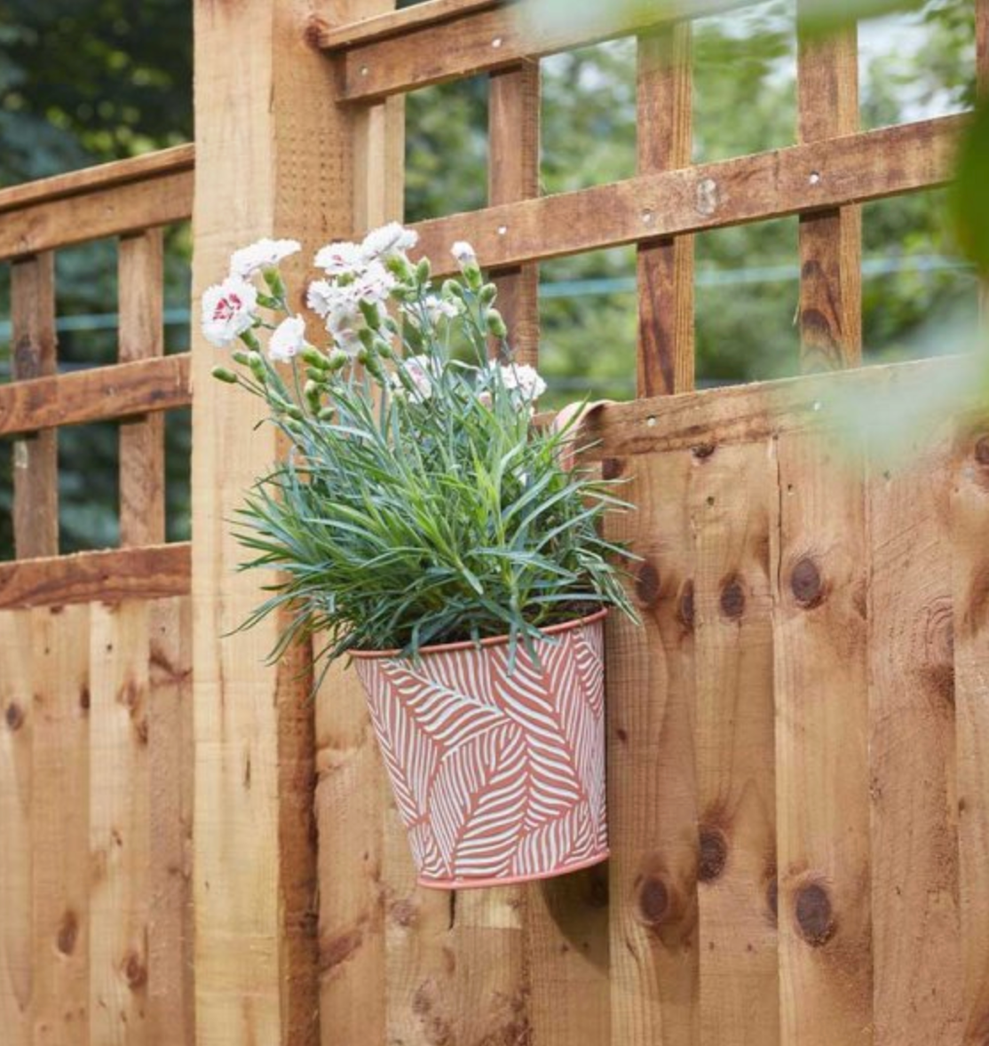 6in Fence & Balcony Hanging Pot - Fern - Terracotta