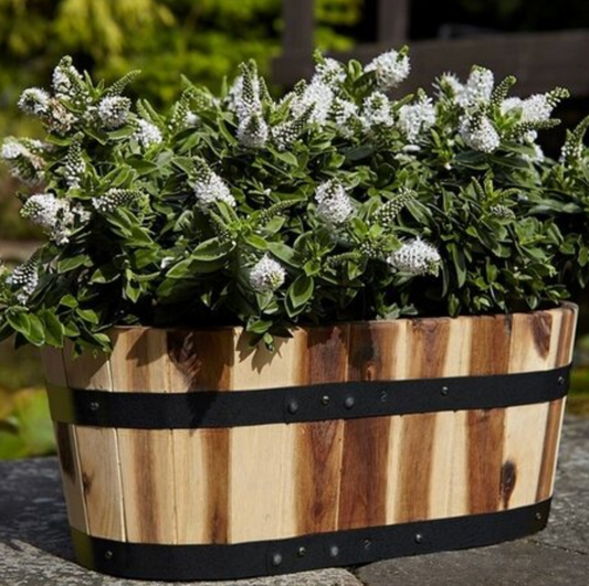 Applewood Trough Planter - Single troughs - Small