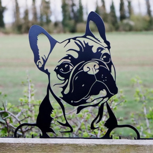 Peeking French Bulldog