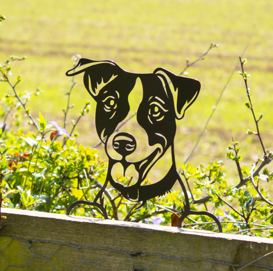 Black Metal Peeking Jack Russell Fence Topper