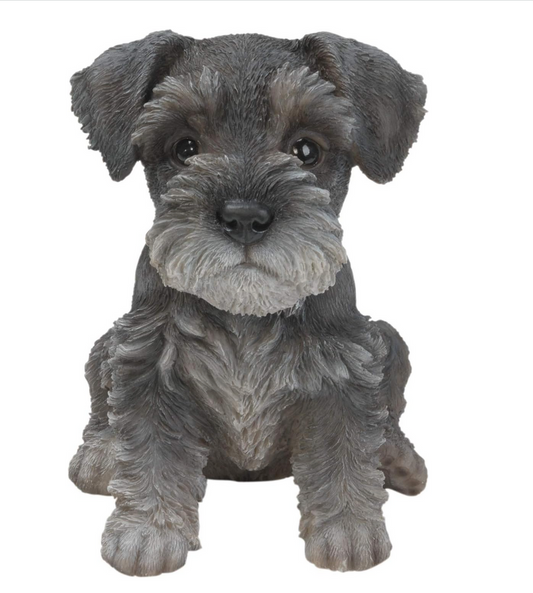 Vivid Arts Pet Pals Miniature Schnauzer Puppy