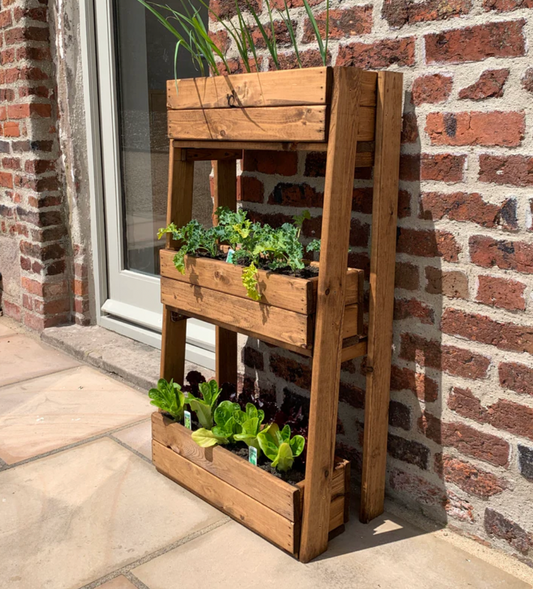 Three Tier Kitchen Planter- Small (Local Delivery)