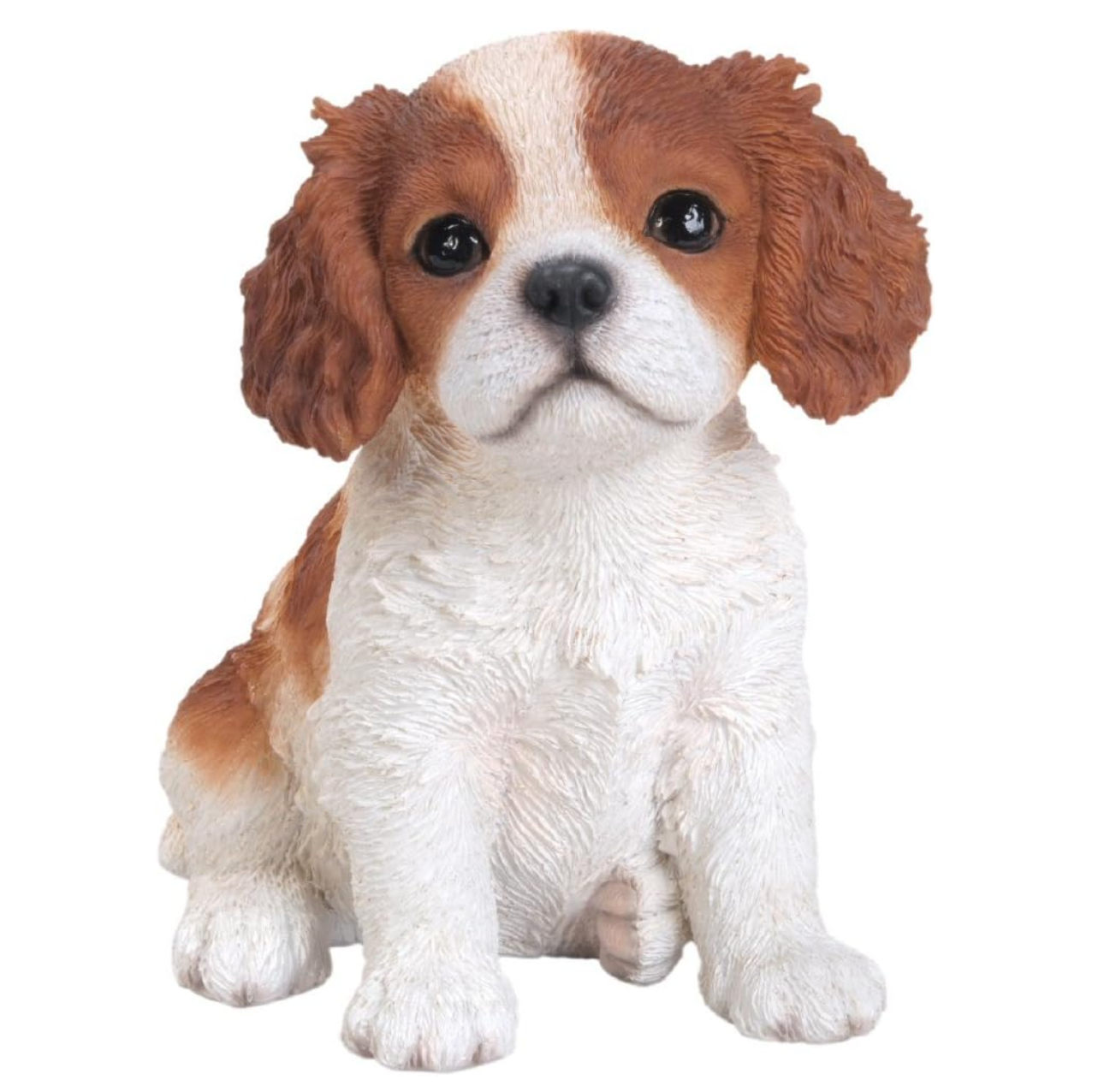 King Charles Spaniel Puppy