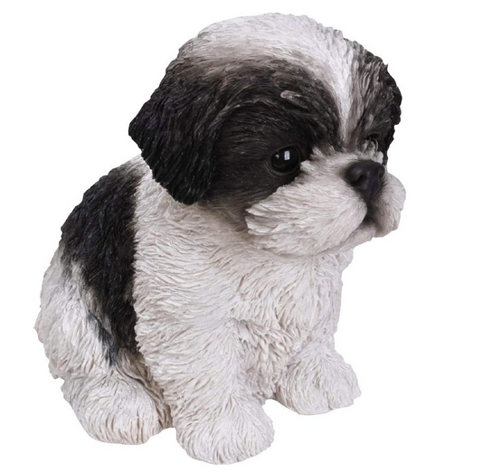 Vivid Arts Pet Pals ShihTzu Puppy Black and White