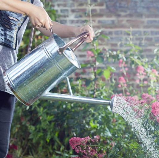 Watering Can 9L, Galvanised Steel