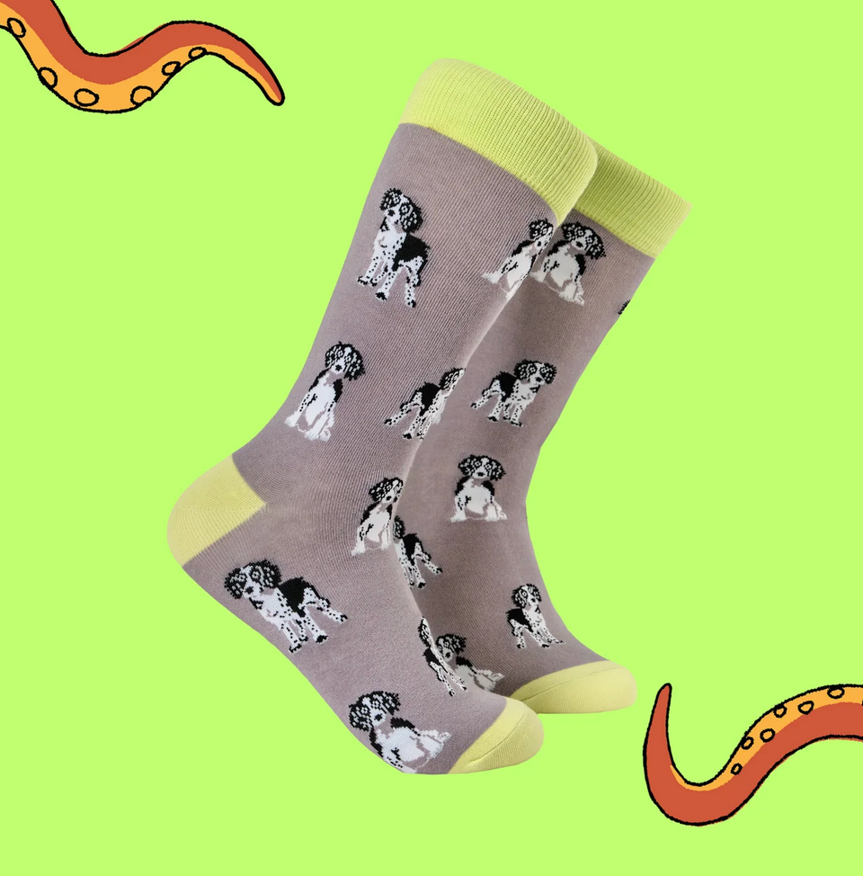 Spaniel Socks! 9-12L