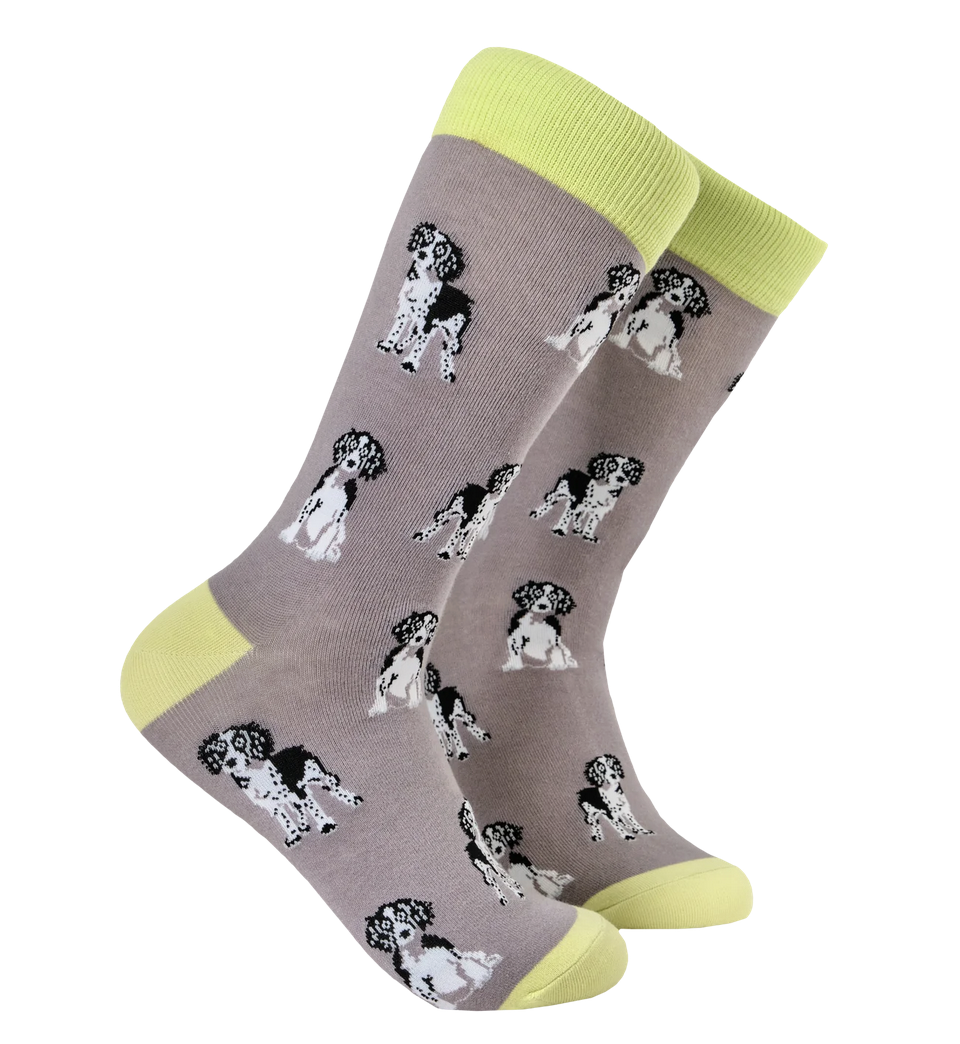 Spaniel Socks! 9-12L