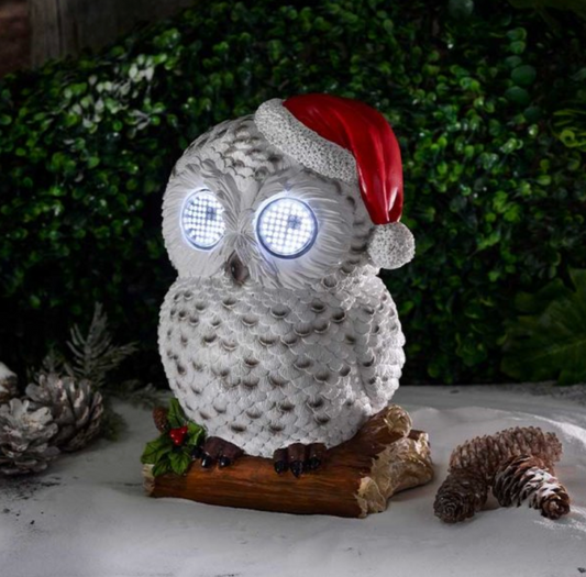 Blinkin' Snowy Battery Powered