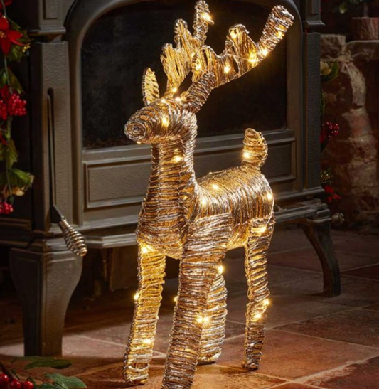 Champagne Braid WonderDeer - 40cm