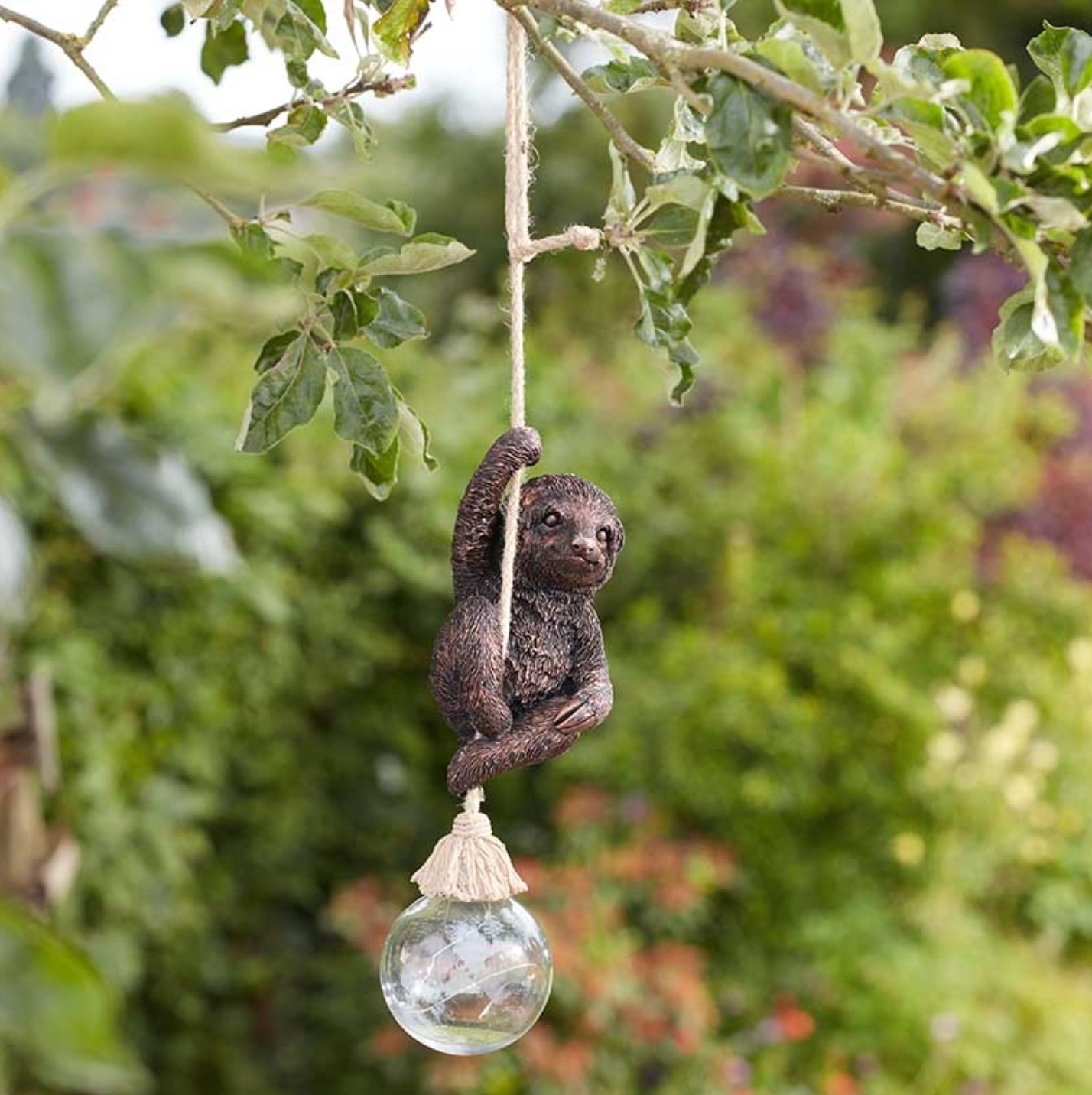 Swingin' Sloth