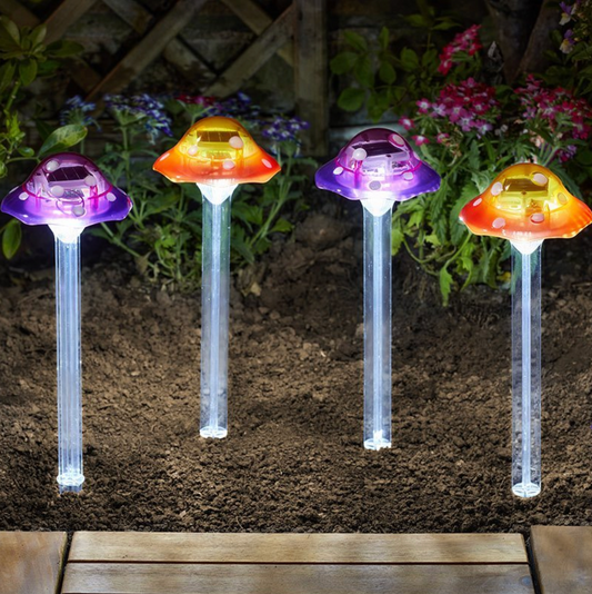 Funky Fungus 4pc Carry Pack