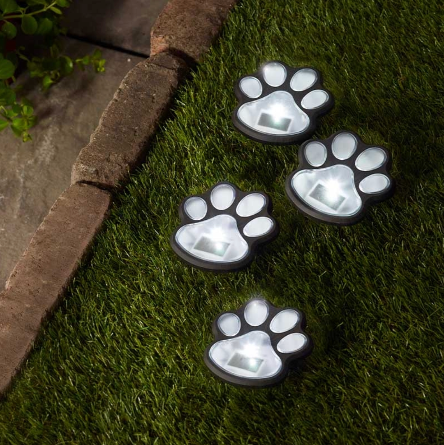Solar PetPaws Stake Lights 4pk