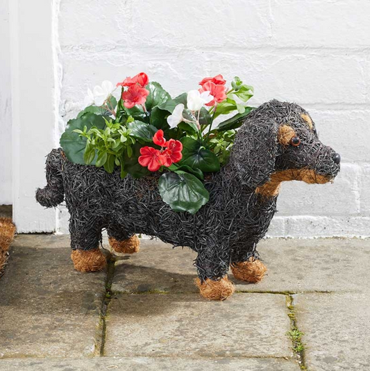 Sausage Dog Planter