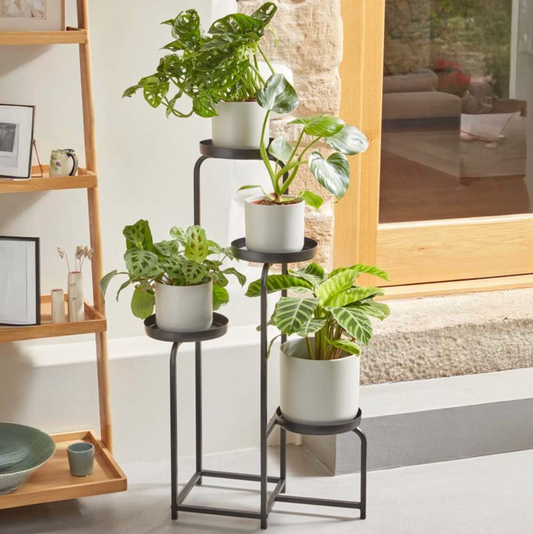 Quad Pot Stand