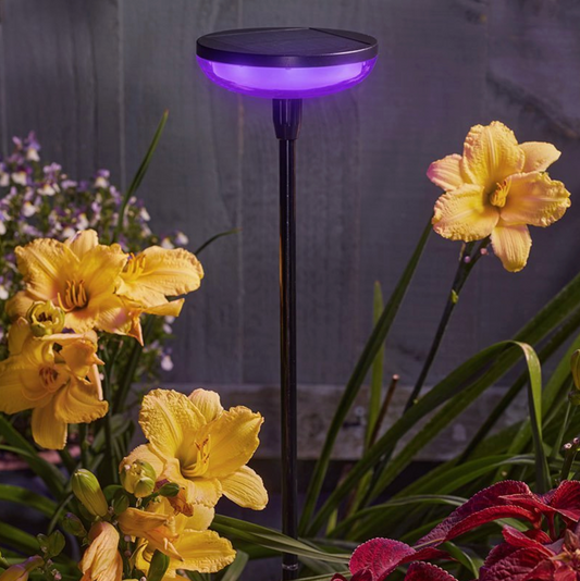 Hygge Stake - Colour Changing