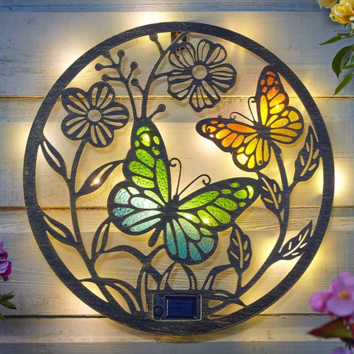 Papillon Decordisc