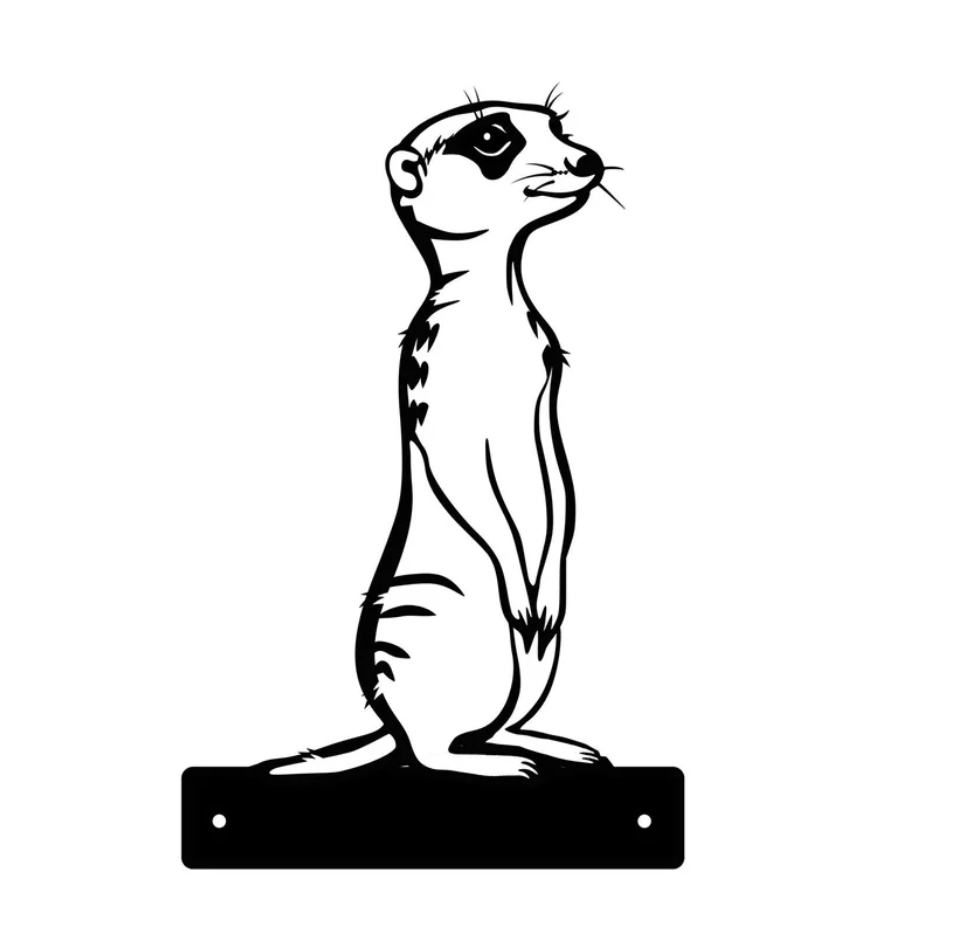 Peeking Meerkat