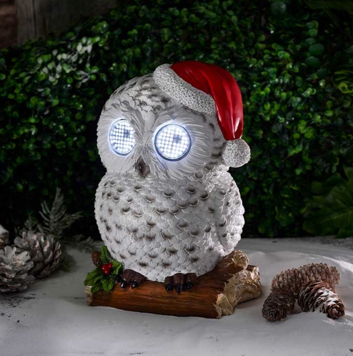 Blinkin' Snowy