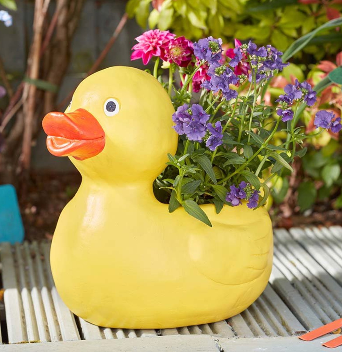 Duck Planter