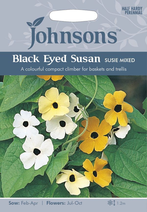 121230 Black Eyed Susan Susie